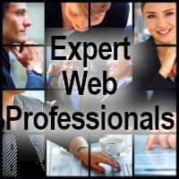 Expert Web Professionals